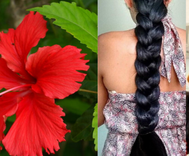 Hibiscus For Hair Growth Review | How to Use Hibiscus For Hair