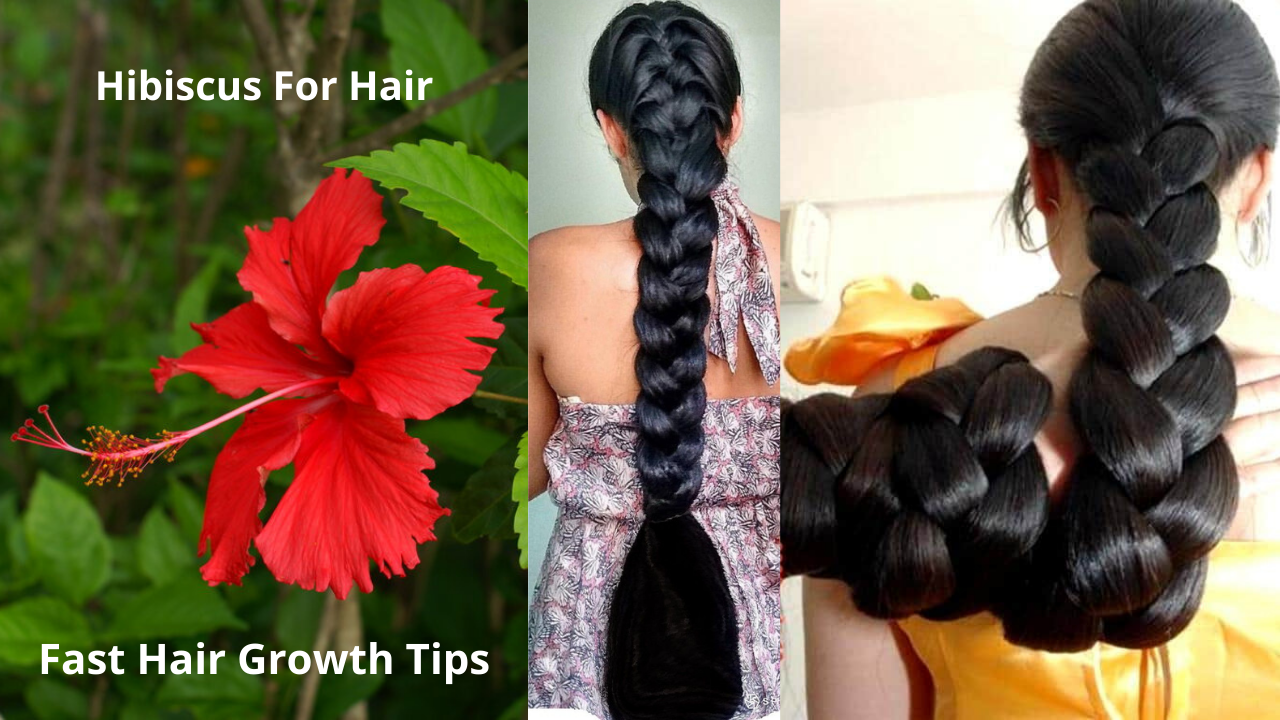 Hibiscus For Hair Growth Review | How to Use Hibiscus For Hair