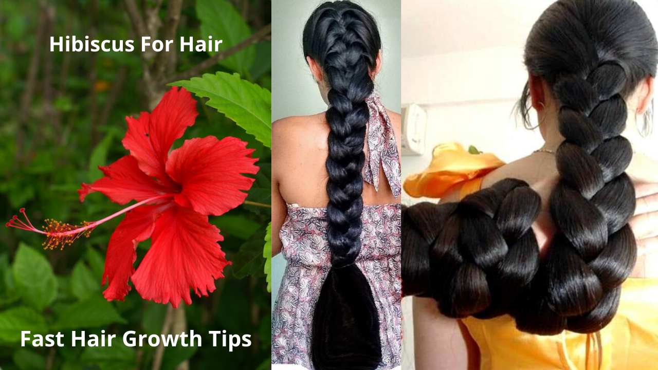 Hibiscus For Hair Growth Review  How to Use Hibiscus For Hair 