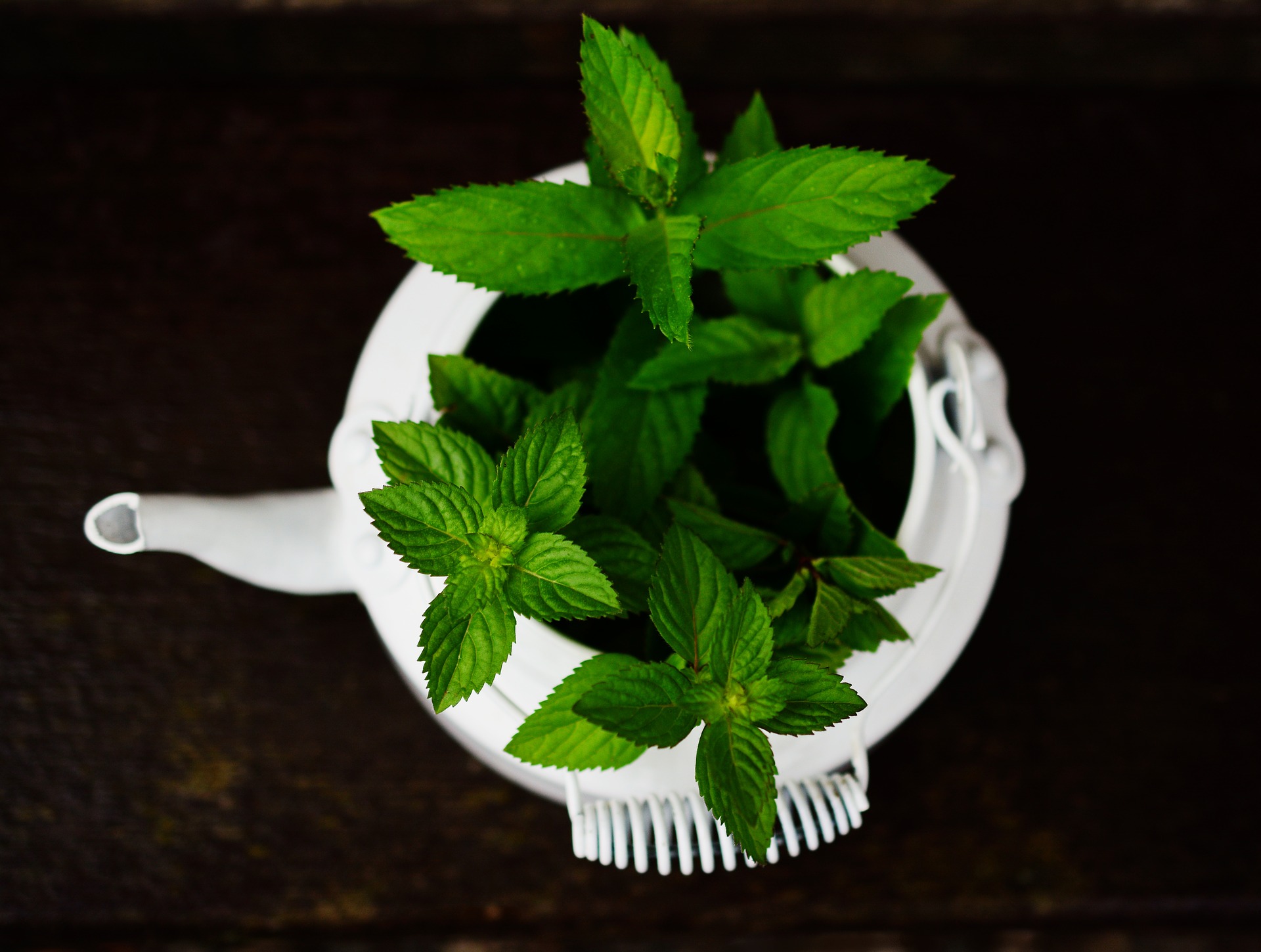 mint leaves for hair