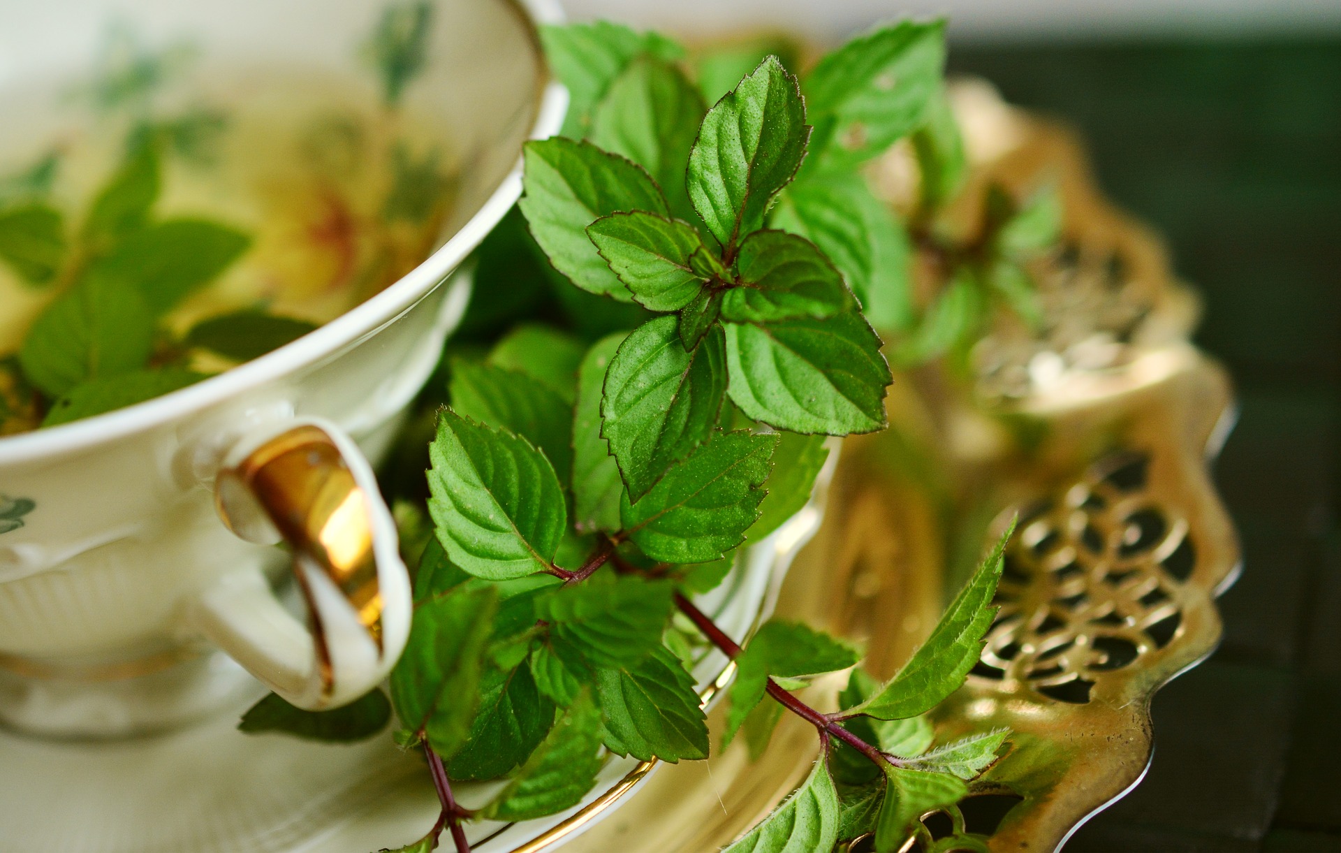 Top 5 Ways To Use Mint Leaves For Hair Bright Cures
