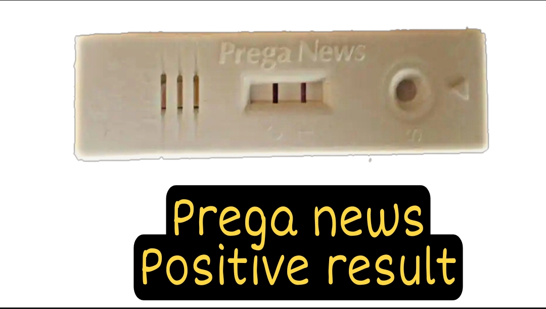 How To Check Pregnancy With Prega News Kit Bright Cures