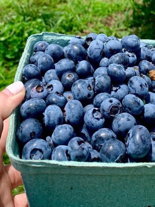 Blueberries Benefits For Male