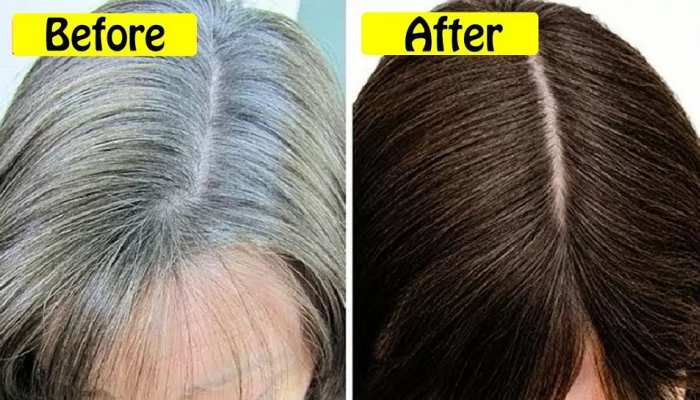 How To Turn Grey Hair Into Black Permanently Naturally - Bright Cures