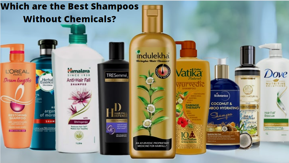 Best Shampoo For Hair Fall In India Without Chemicals - Bright Cures