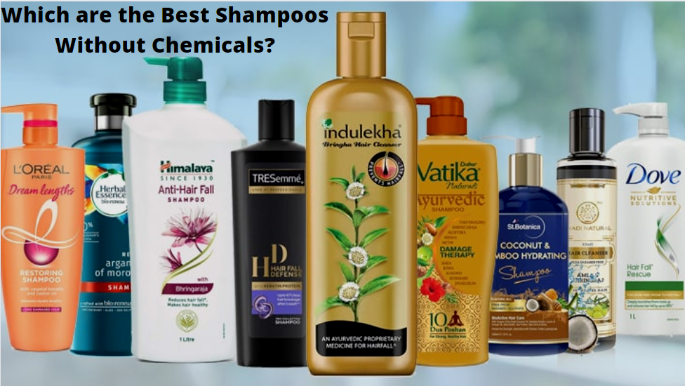 Best Shampoo For Hair Fall In India Without Chemicals