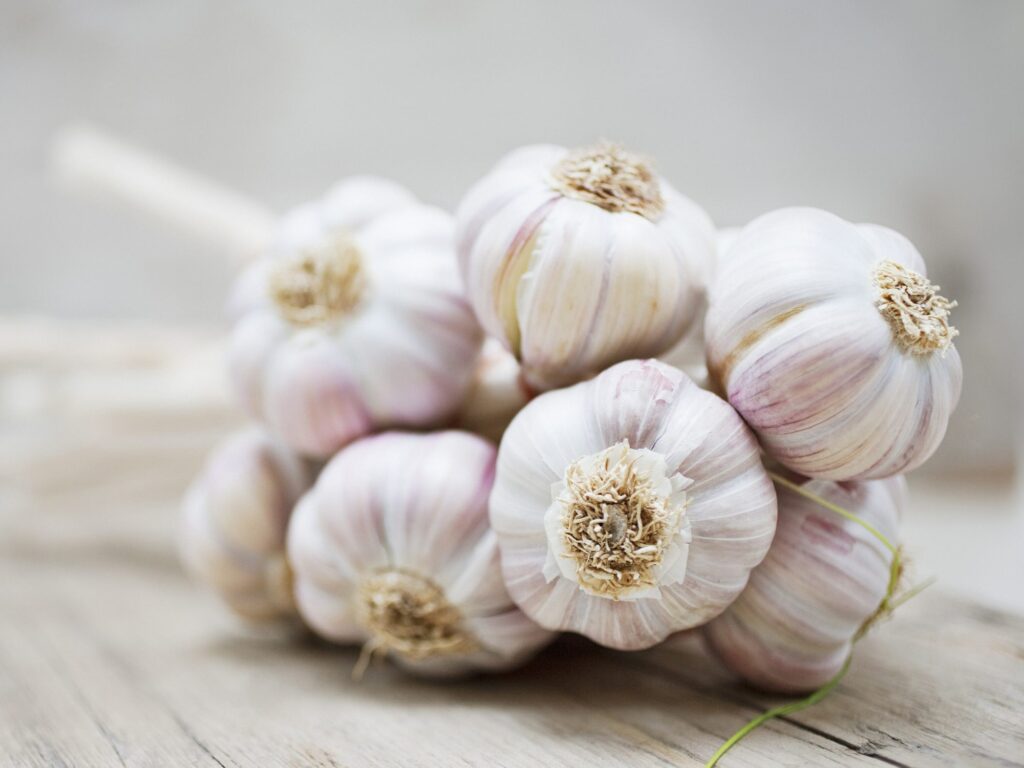 garlic for blackheads