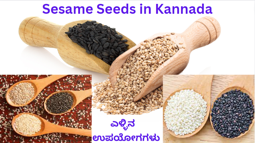 Sesame Seeds in Kannada