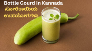 Bottle Gourd In Kannada