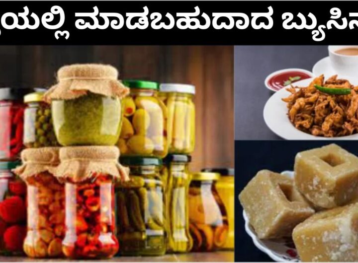 Village Business Ideas In Kannada