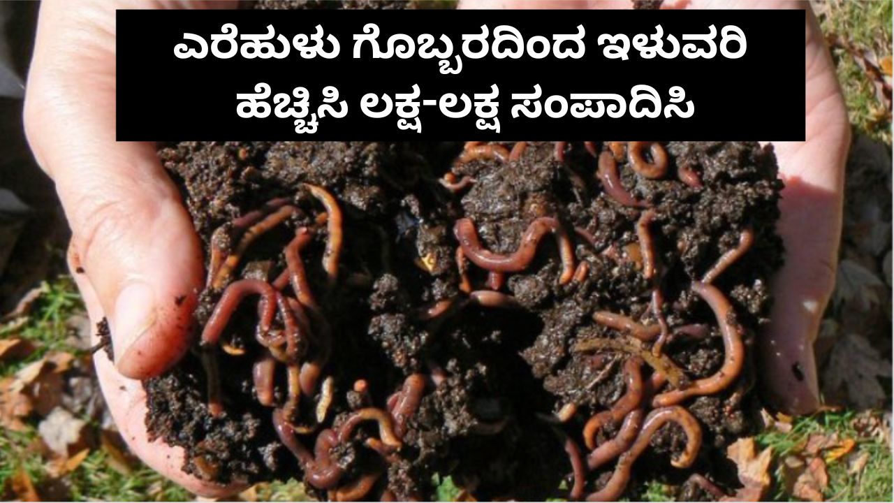 ಎರೆಹುಳು ಗೊಬ್ಬರದಿಂದ ಇಳುವರಿ ಹೆಚ್ಚಿಸಿ ಲಕ್ಷ-ಲಕ್ಷ ಸಂಪಾದಿಸಿ