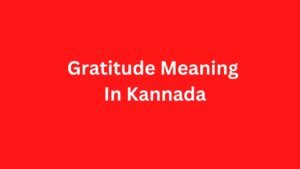 Gratitude Meaning In Kannada | Gratitude In Kannada