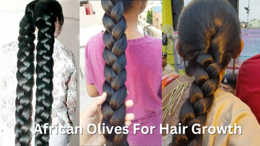 African Olives For Hair Growth - Brightcures